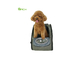 배낭 기능과 광대한 애완동물 운반기 가방
